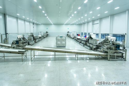 食品凍干技術為鄉(xiāng)村振興賦新能,凍干設備生產線廠家